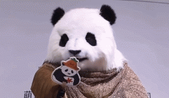 仿生制做的机械人